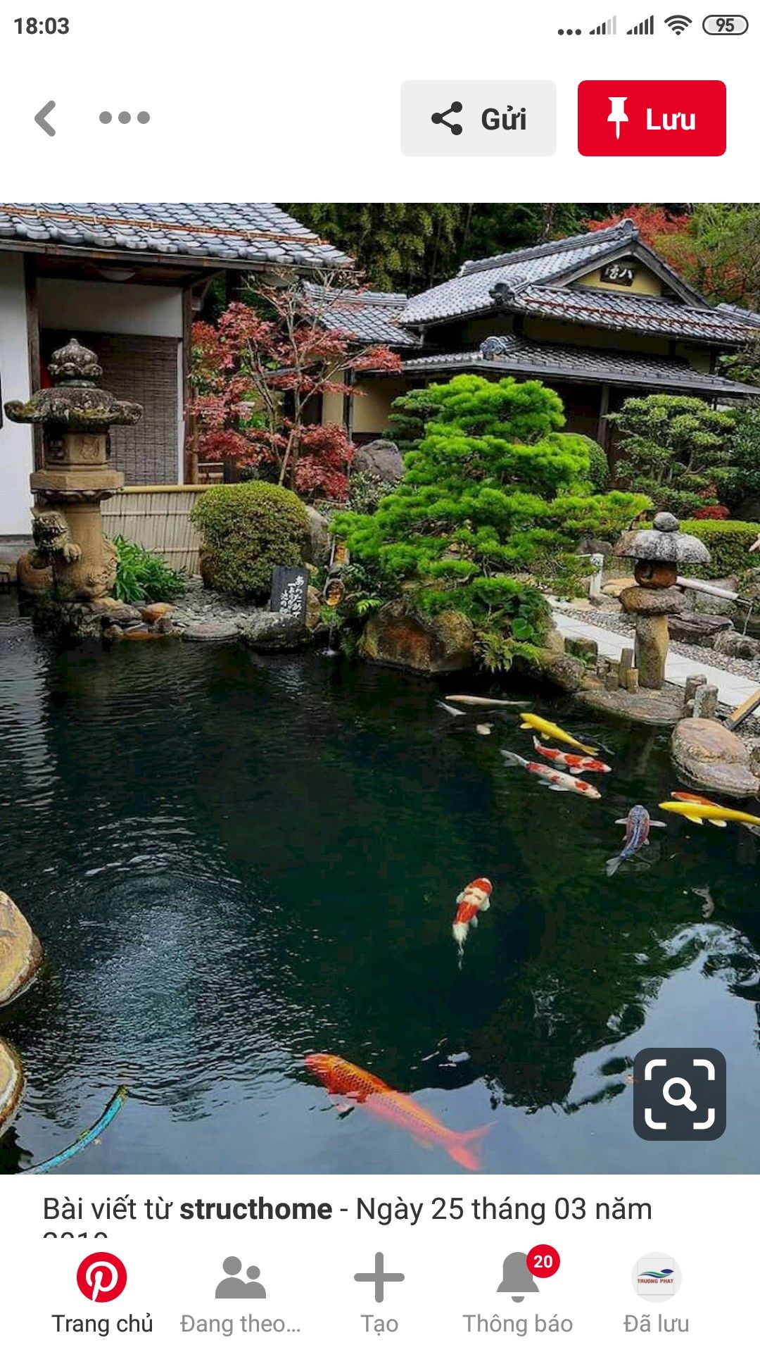 水产养殖虾基地批发出售