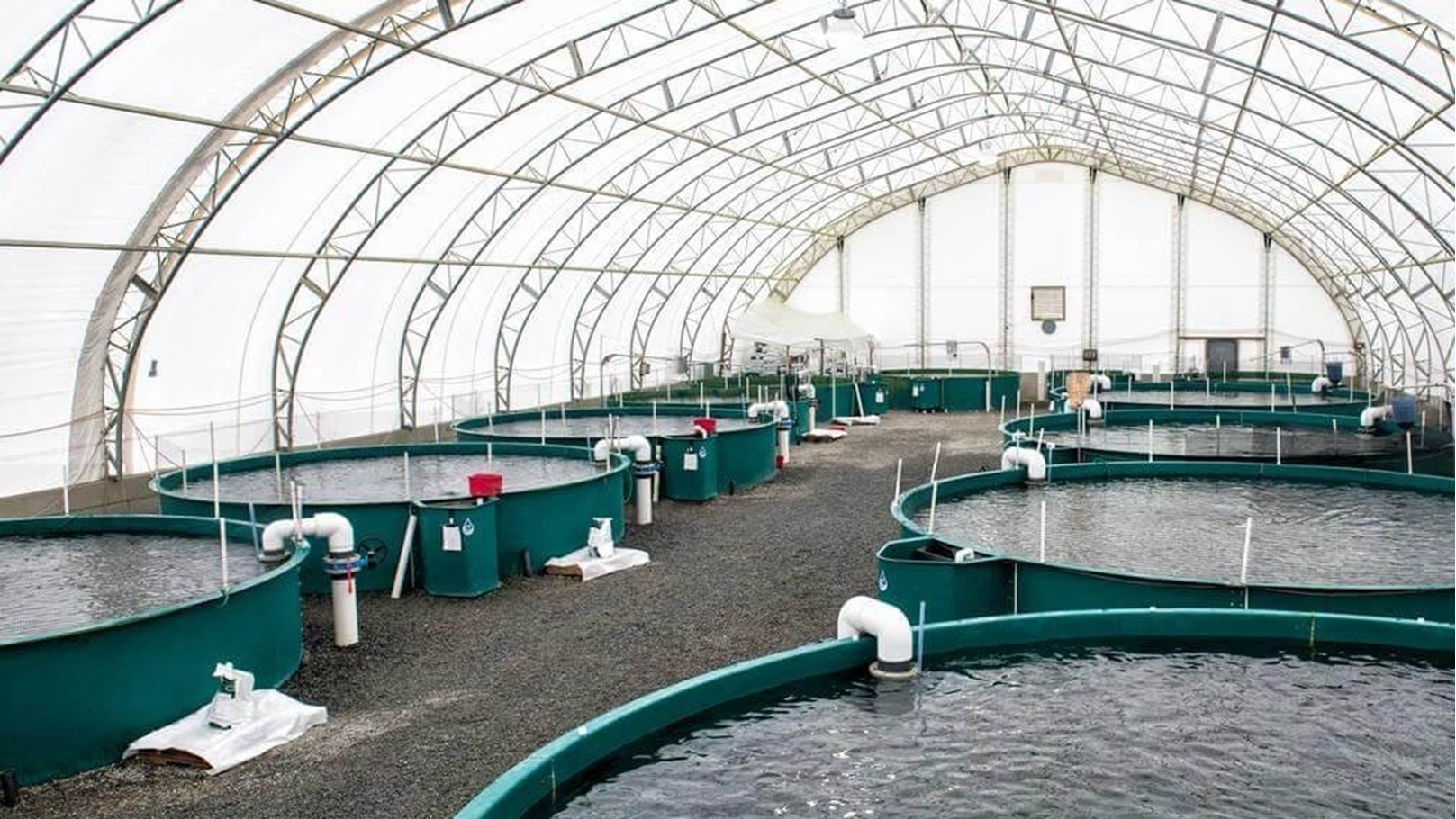 水产养殖用药顺序