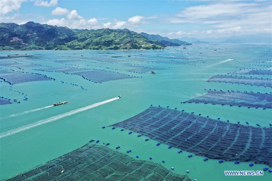 水产养殖规范用药制度