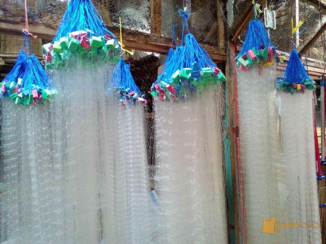 水产养殖营业执照怎么办理