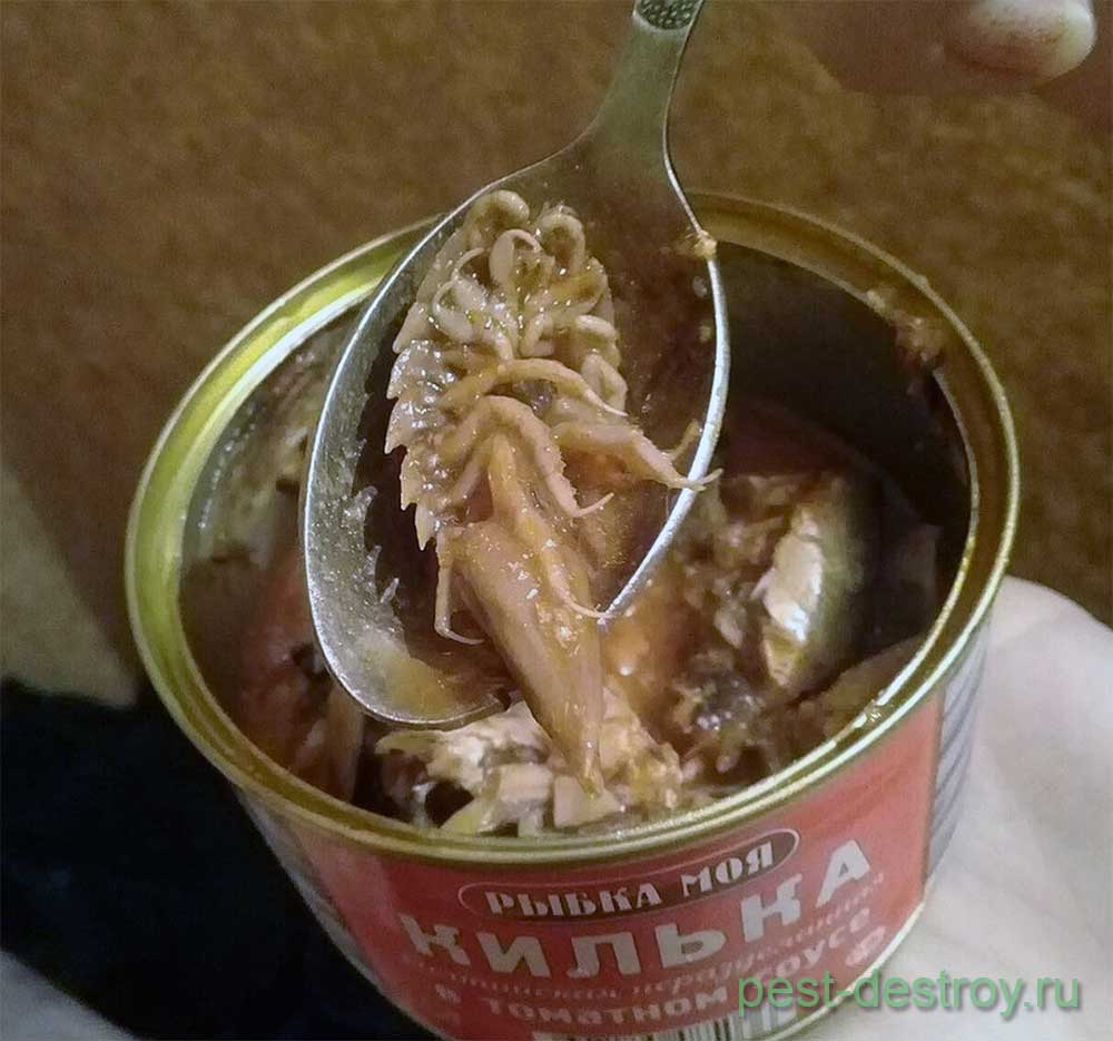 水产养殖吨桶生产厂家排名