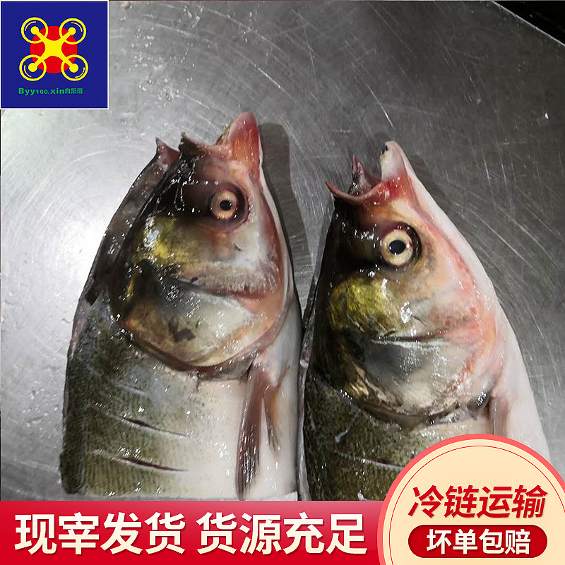 水产品养殖风险