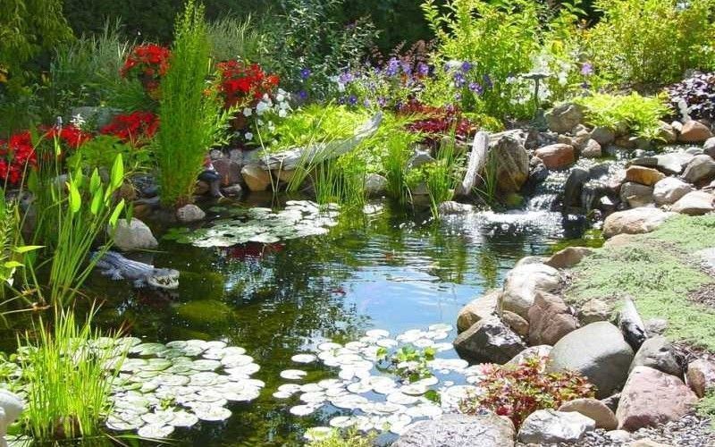 水产用药批发厂家