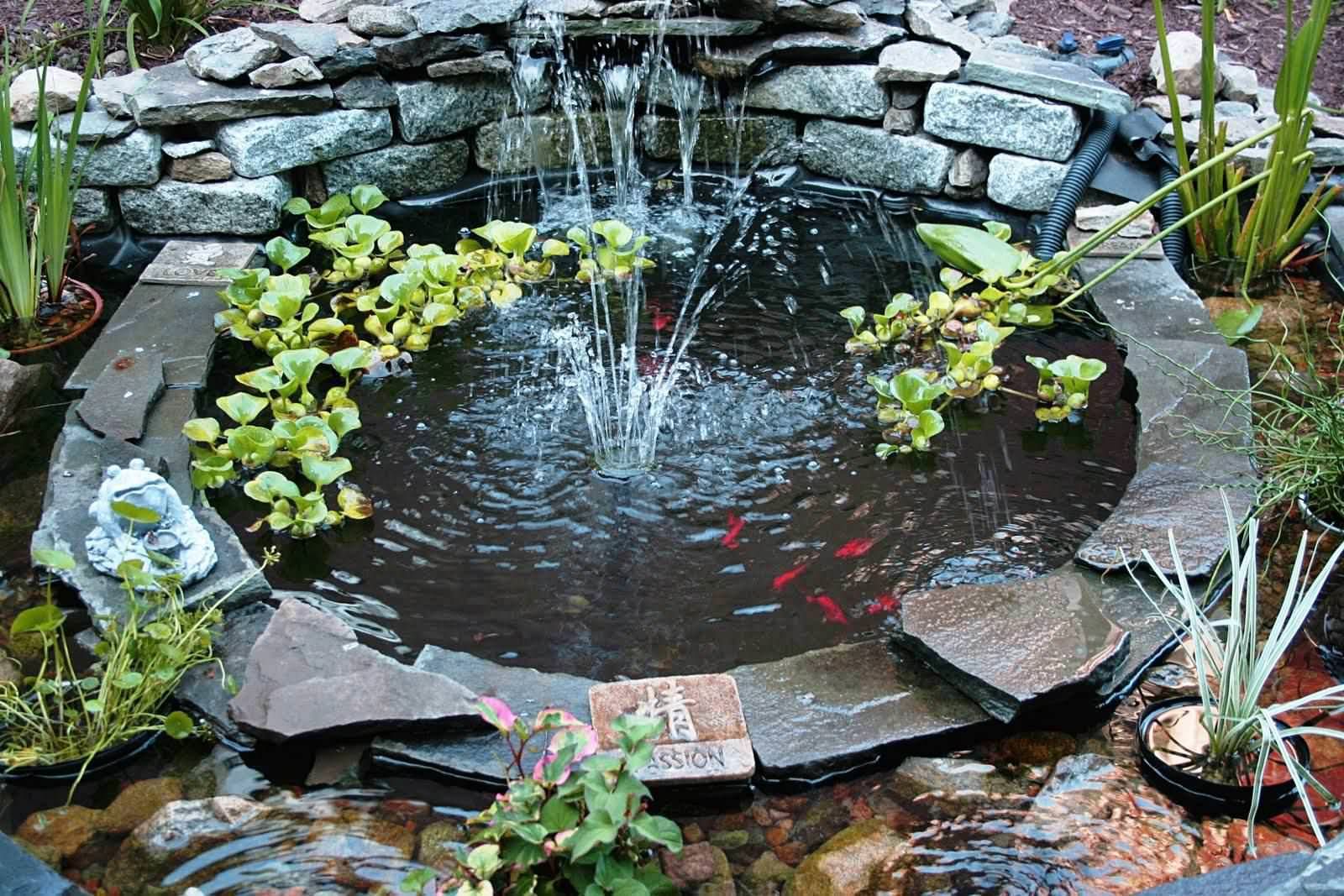 水产养殖公司的产品