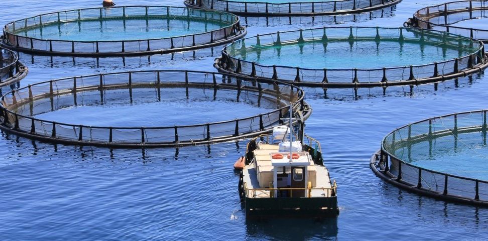 水产养殖水质检测项目