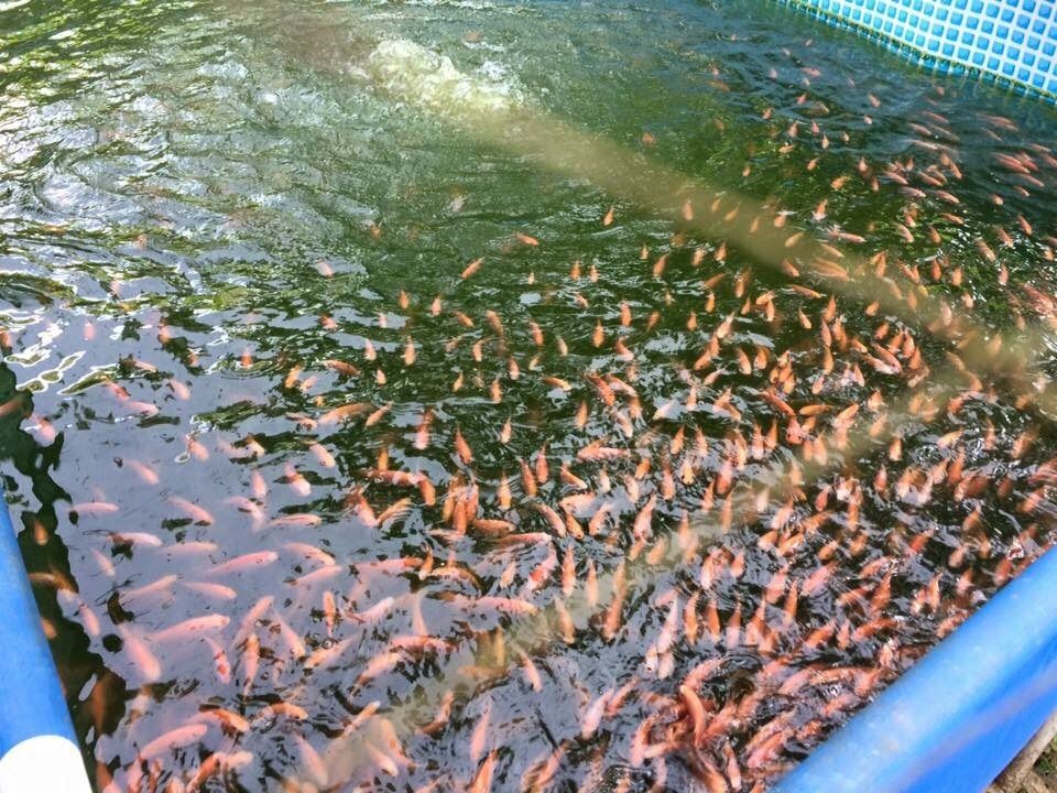 水产养殖杂志怎么样
