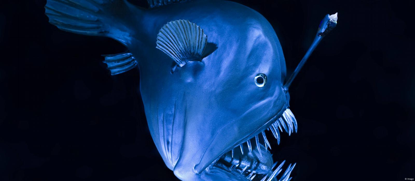 广州利键生物科技有限公司介绍