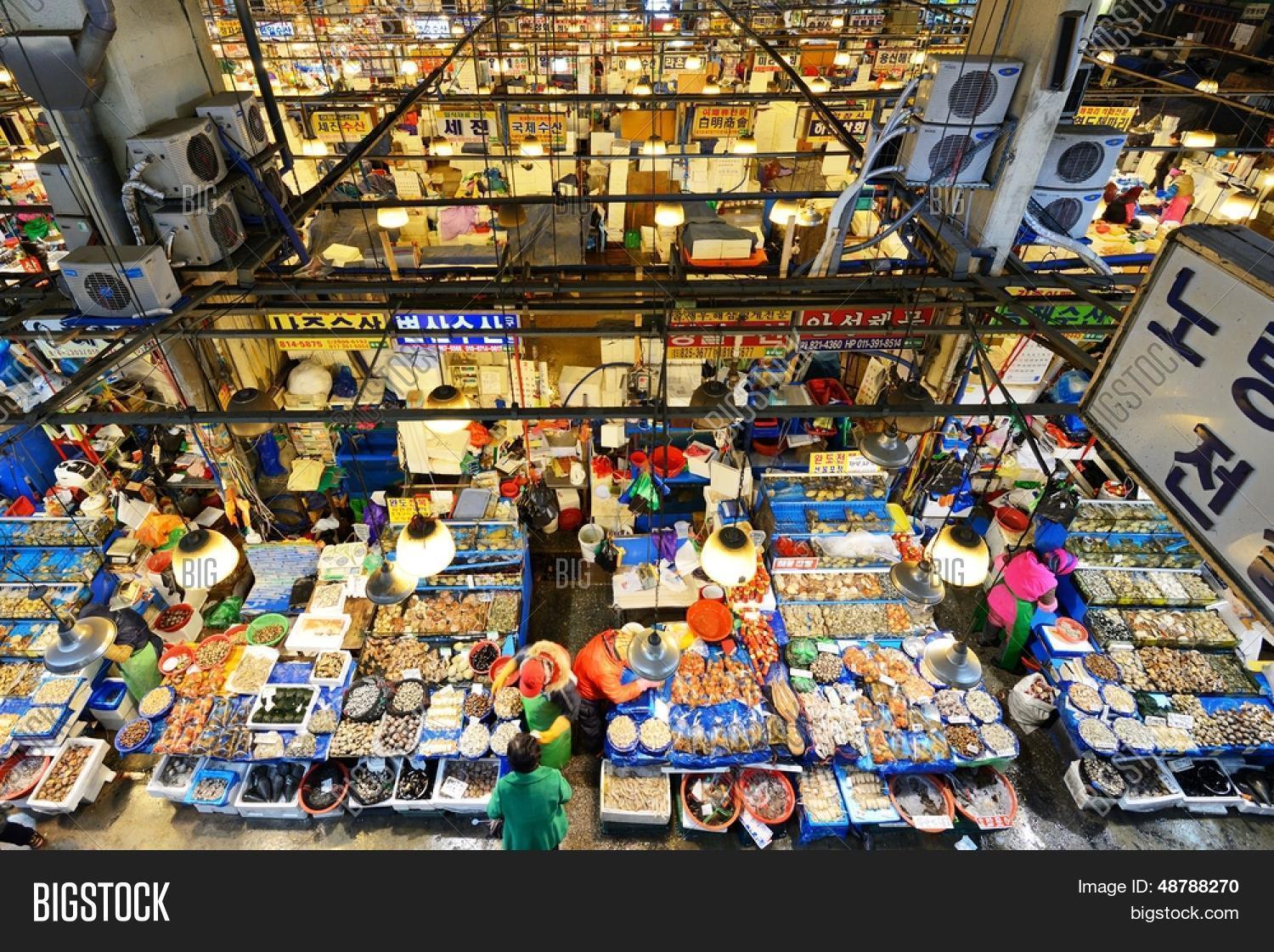 水产饲料有哪些品种