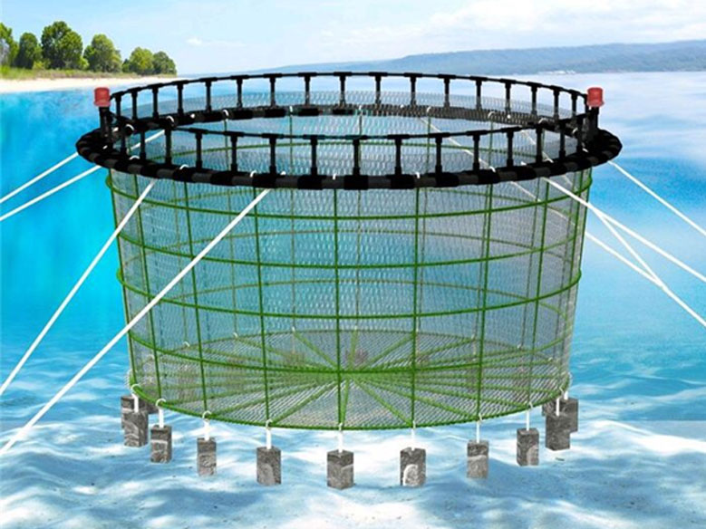中国渔药生物公司排名
