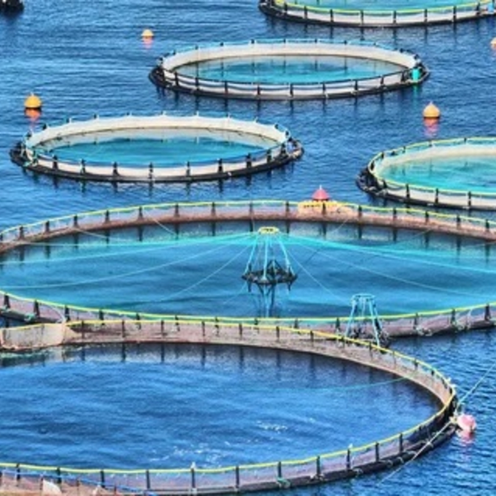 陕西商洛水产养殖公司