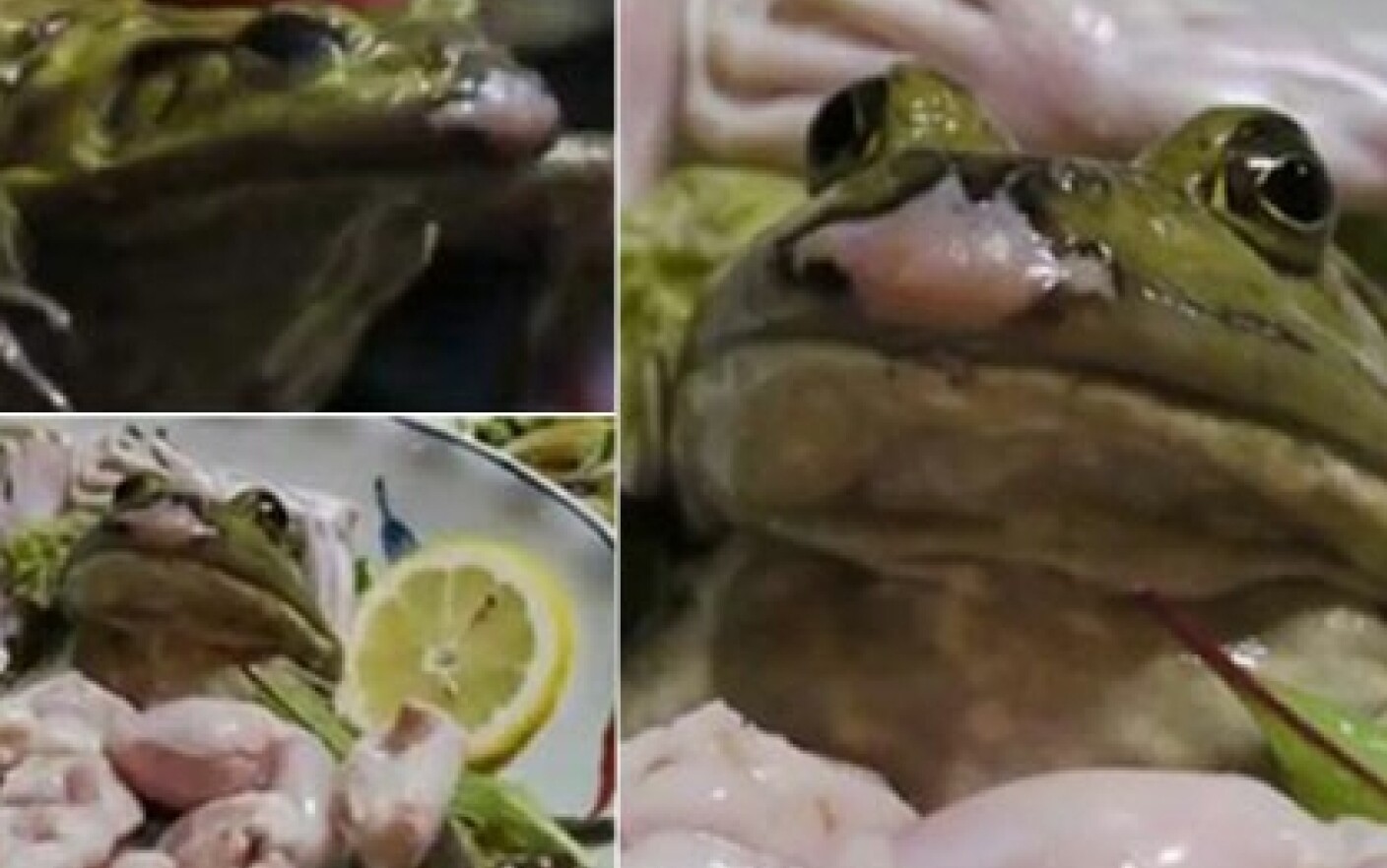 水产养殖管理