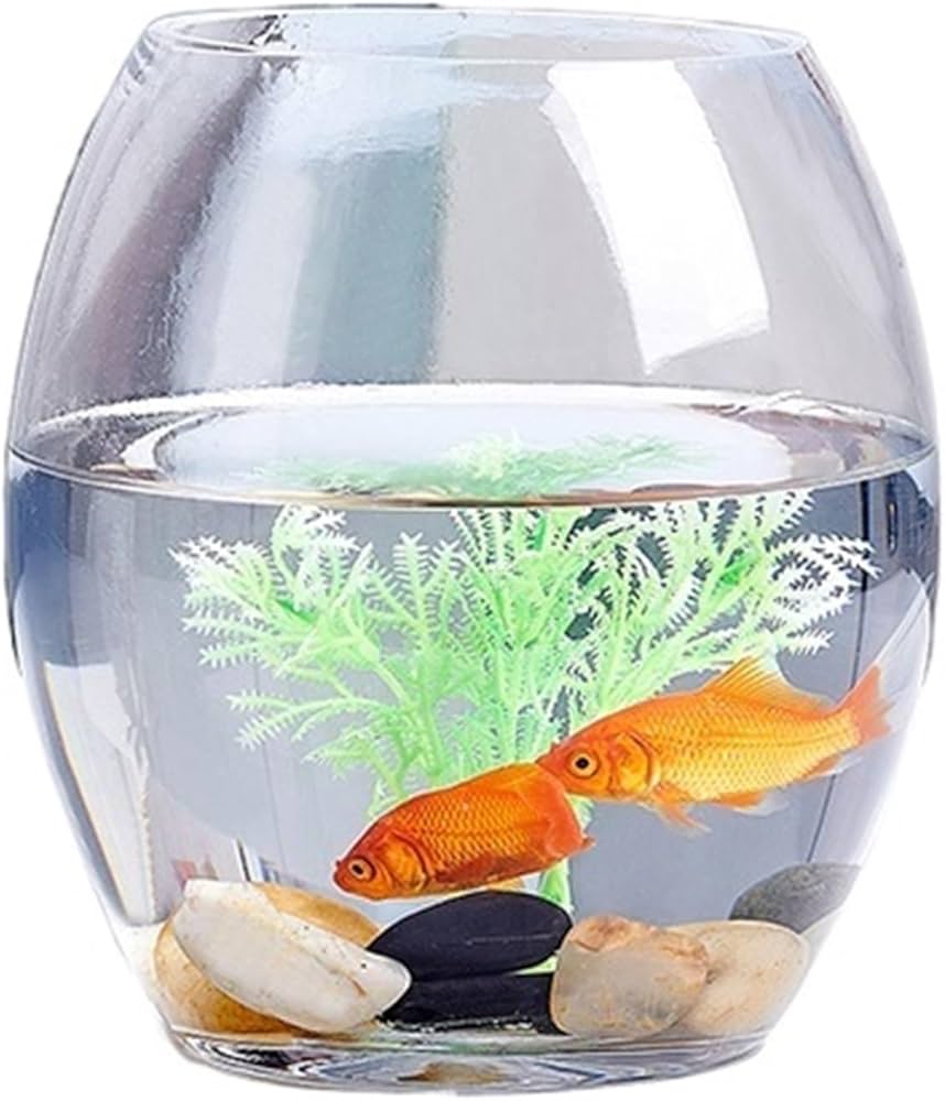 水产药品名称大全图片