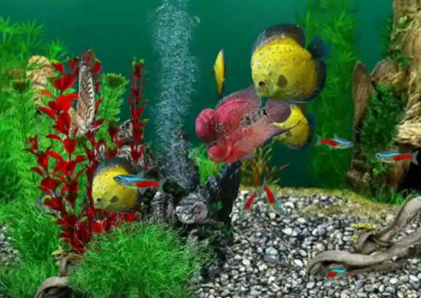武进得康生物技术有限公司介绍
