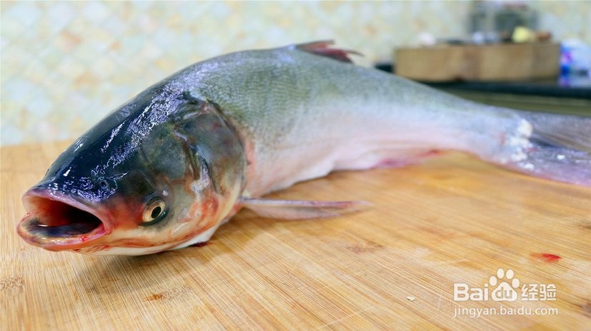 水产饲料生产厂家有哪些