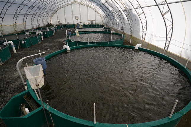 水产动保生产基地
