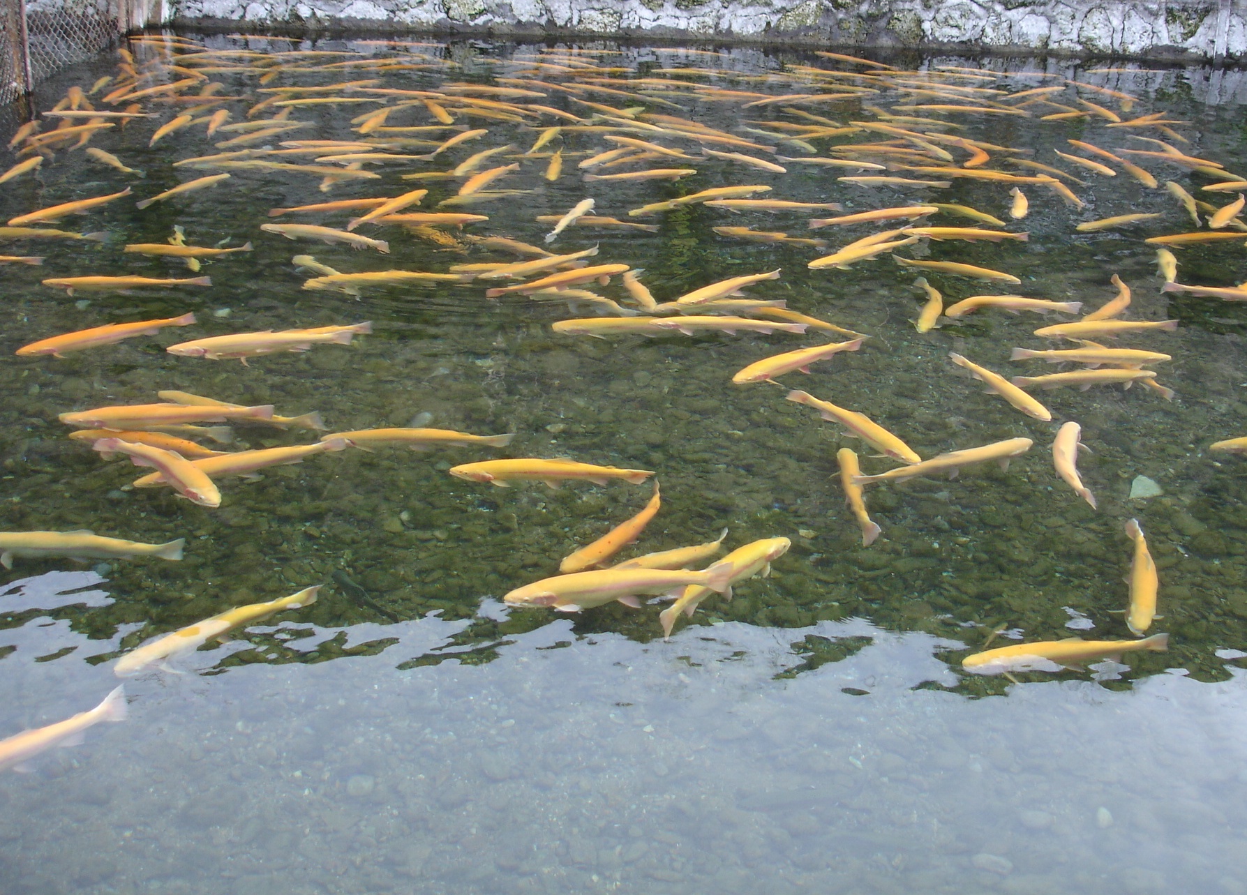 广东粤海生物科技有限公司介绍