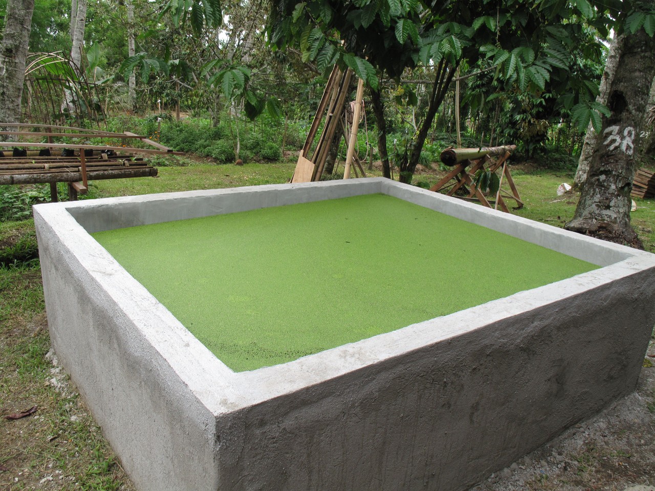 水产养殖消毒药