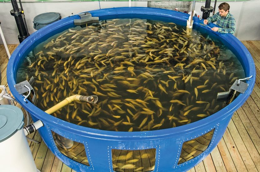 水产饲料是什么垃圾