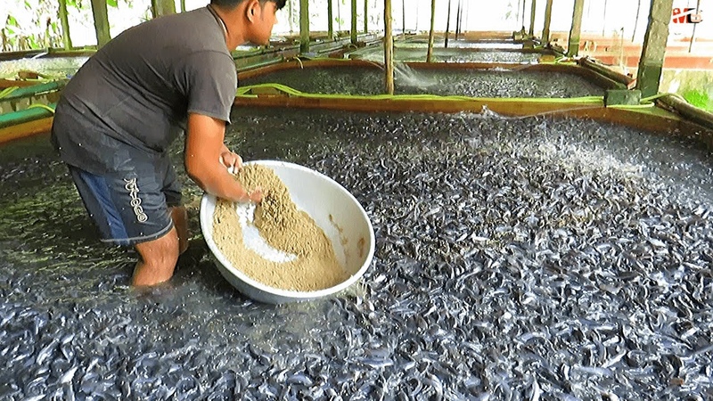 水产养殖技术人员