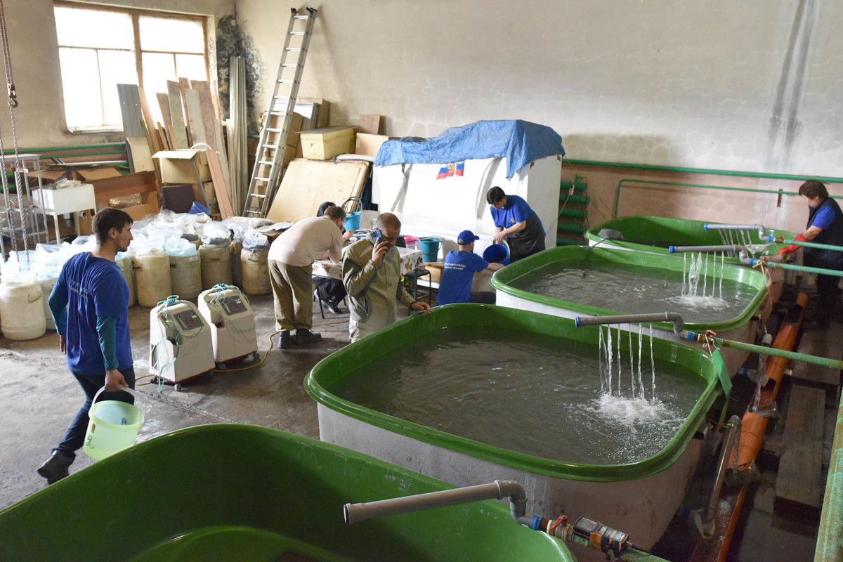 水产养殖类加工厂
