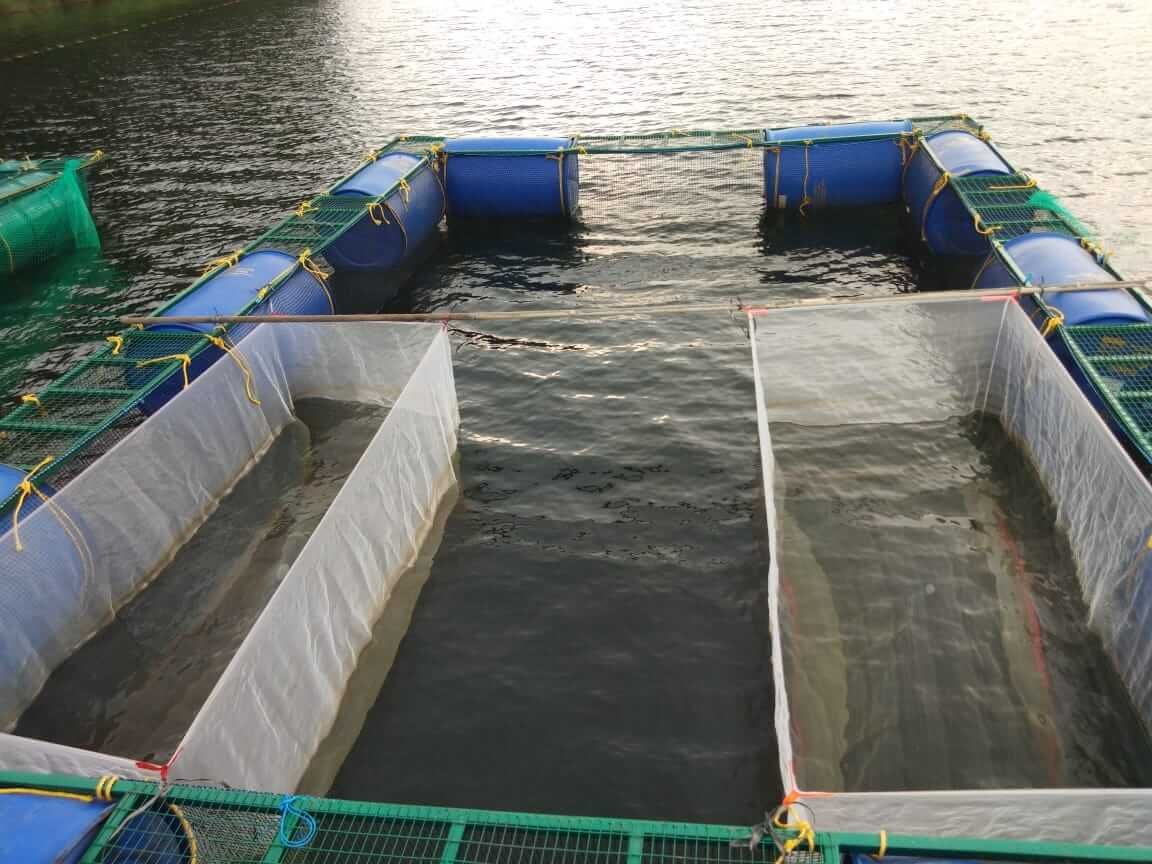 宁德水产养殖公司名单