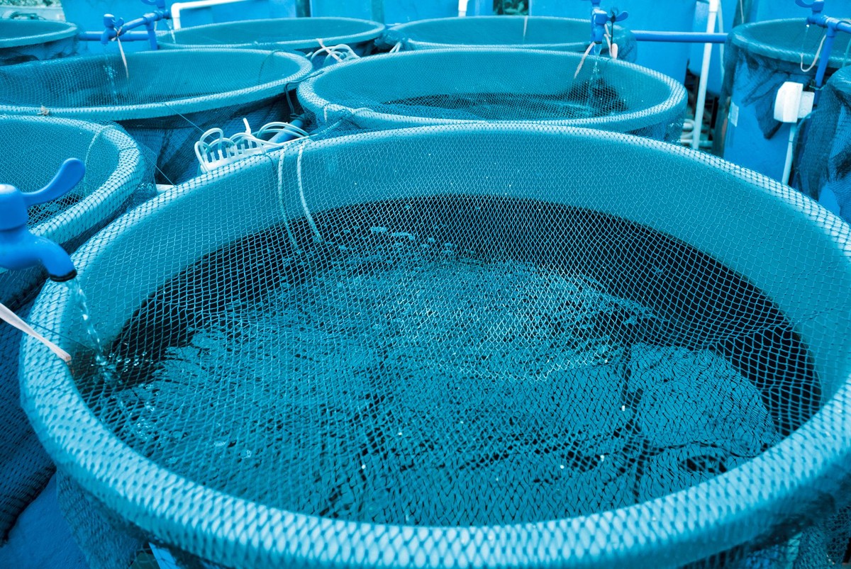 水产养殖帆布池搭建