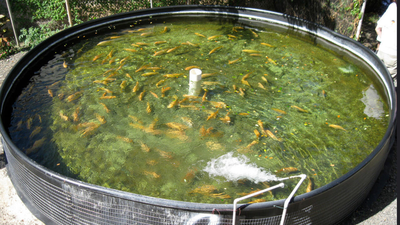 海大水产药品最新产品目录