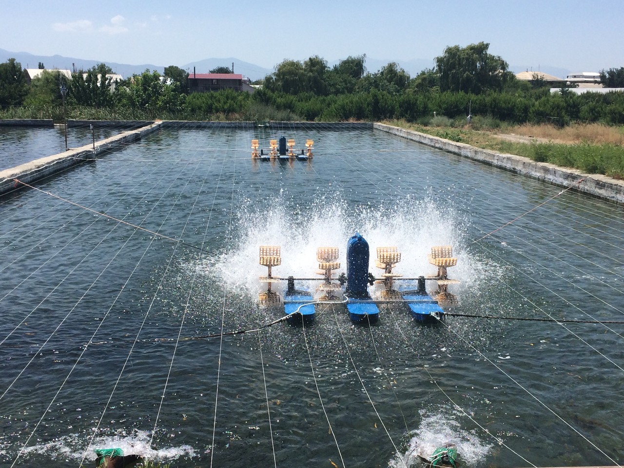 水产渔药经销店地址
