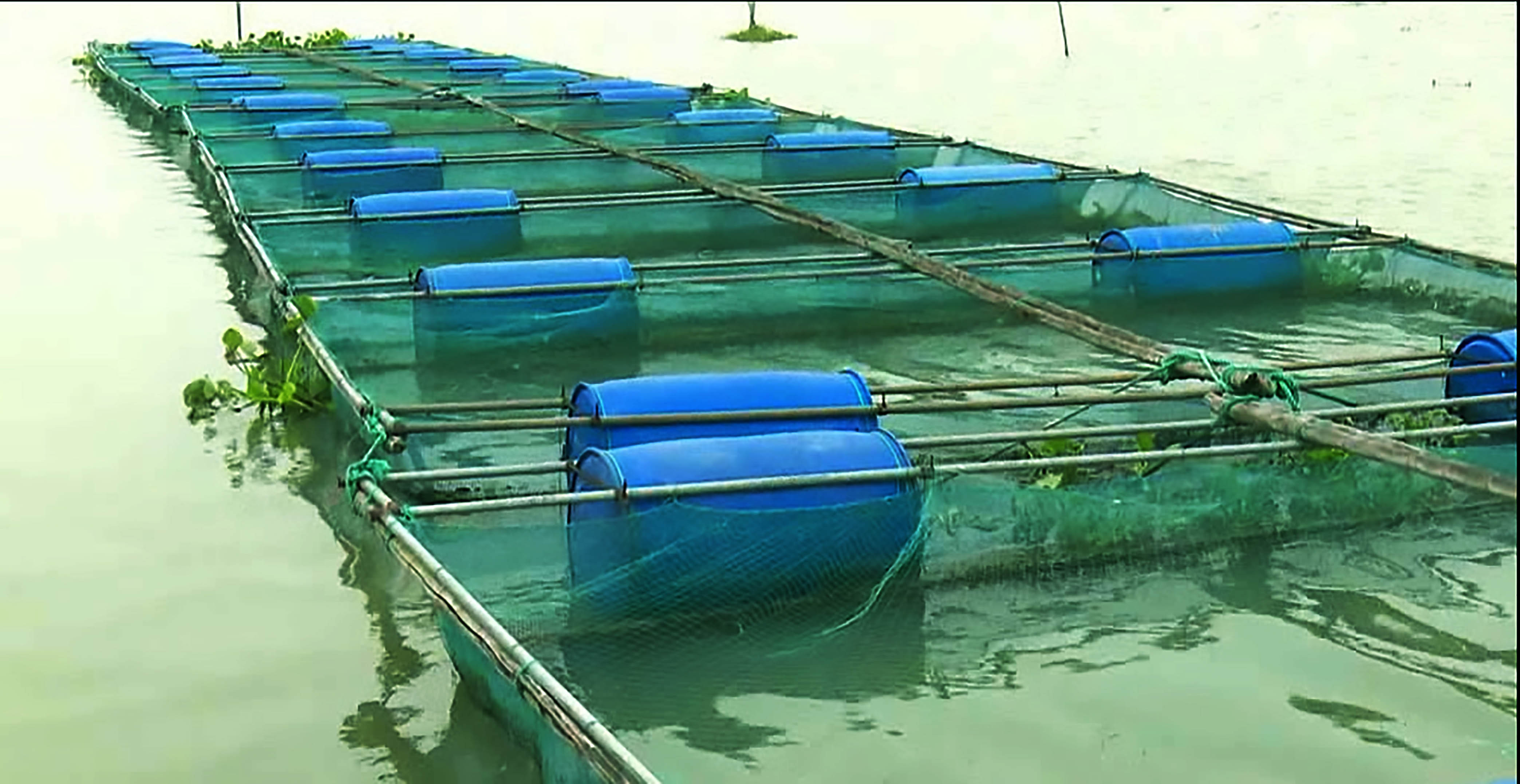 水产饲料生产厂家联系方式