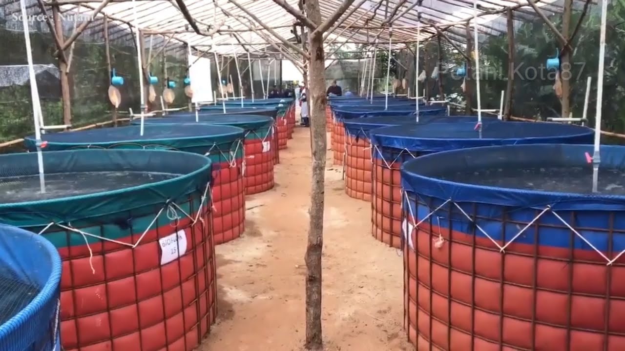 重庆最大鱼药批发市场地址