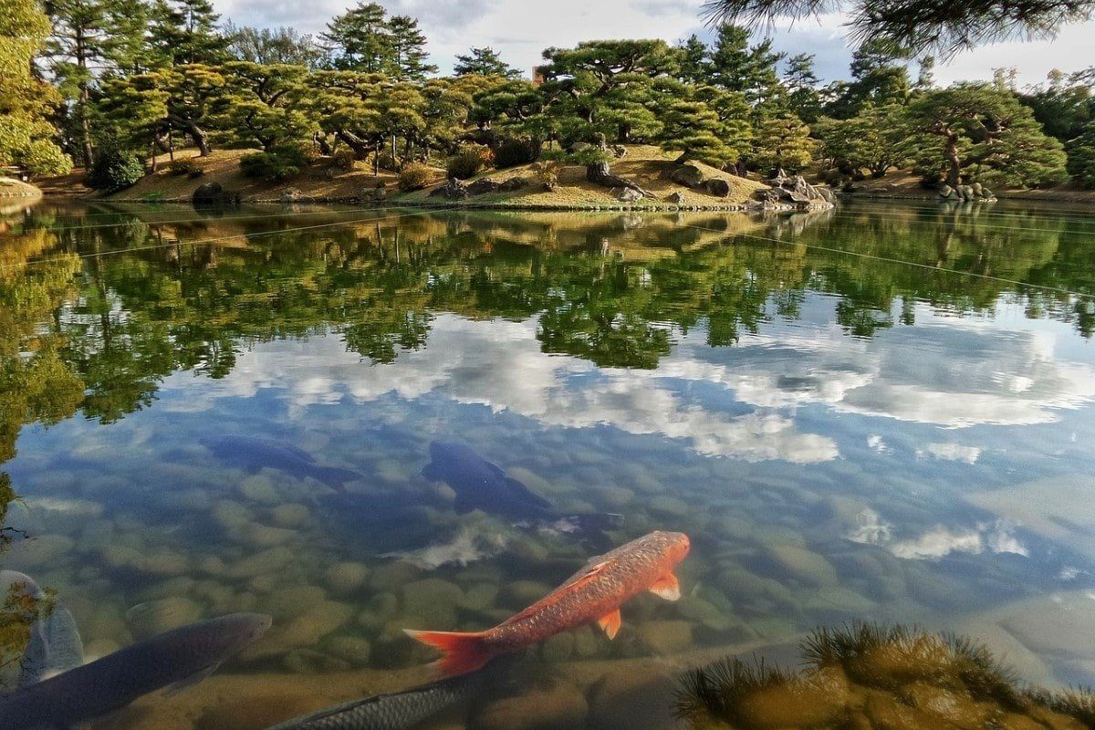 水产养殖基础知识大全
