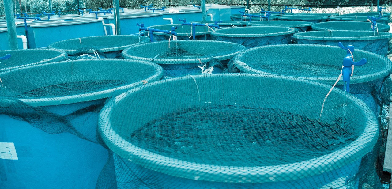 水产养殖技术员培训