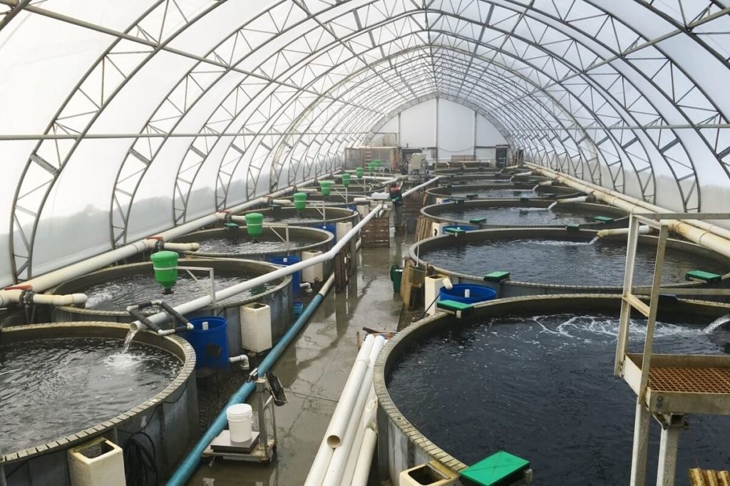 水产养殖基地简介