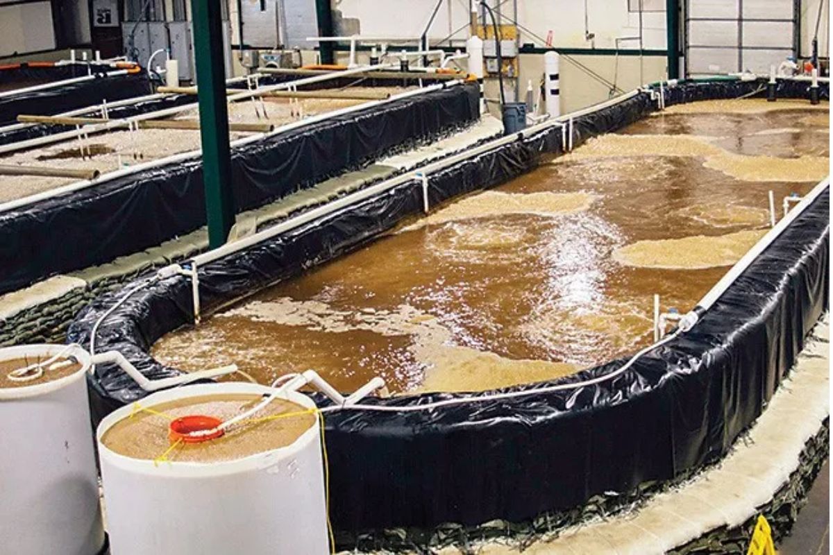 水产饲料厂家那个地方多