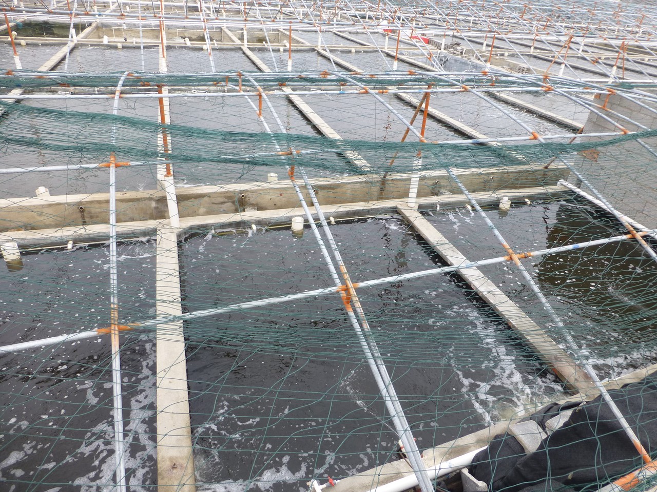 水产养殖水质监测软件