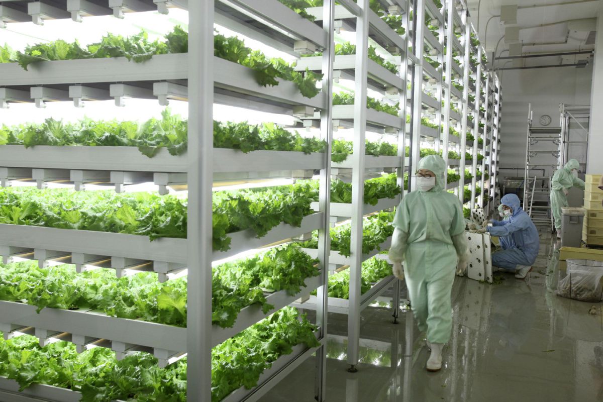 水产养殖用药批发零售