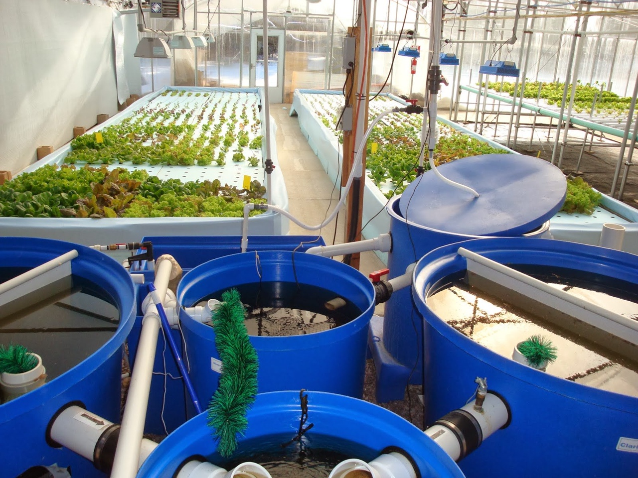 水产养殖诱食剂书籍