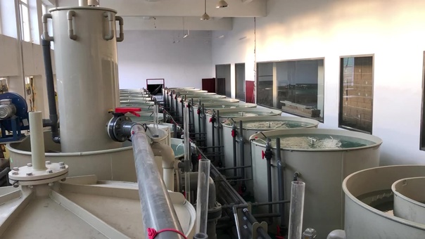水产养殖用药白名单