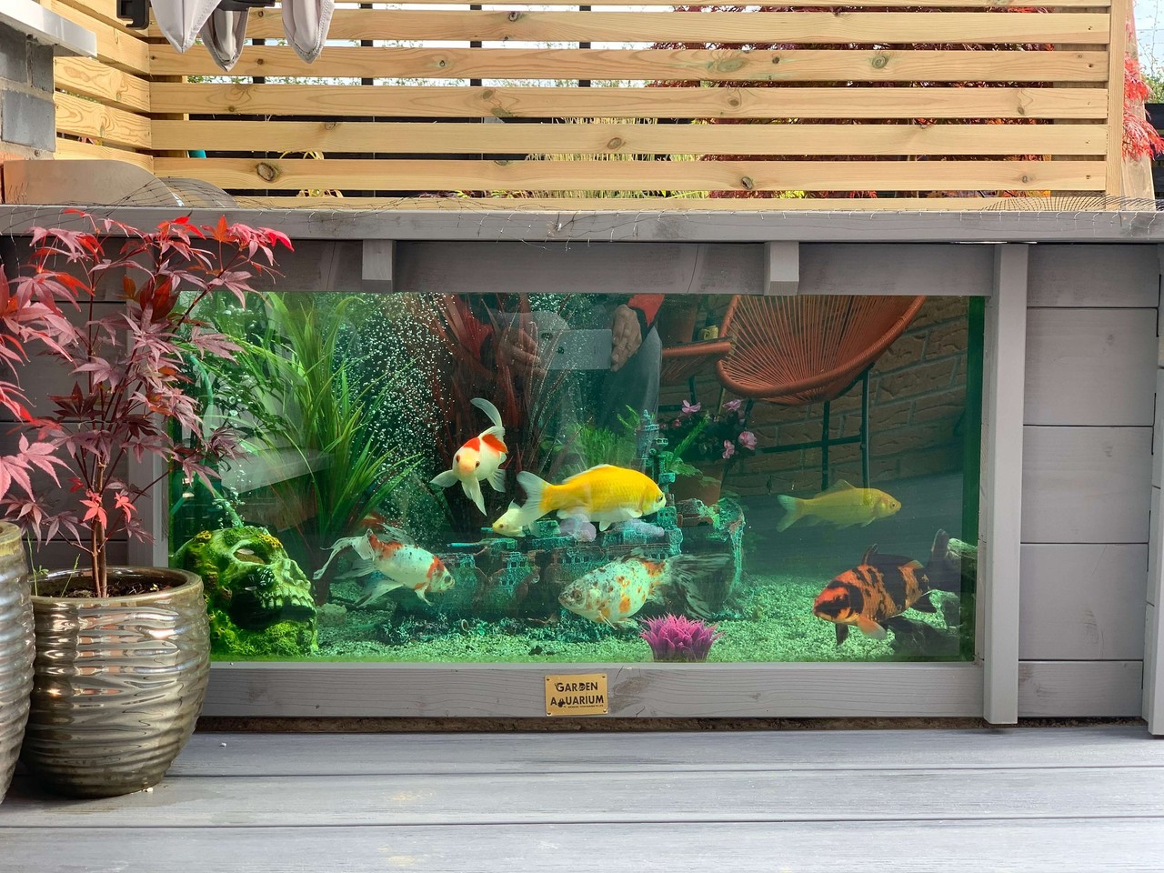 水产养殖执行标准