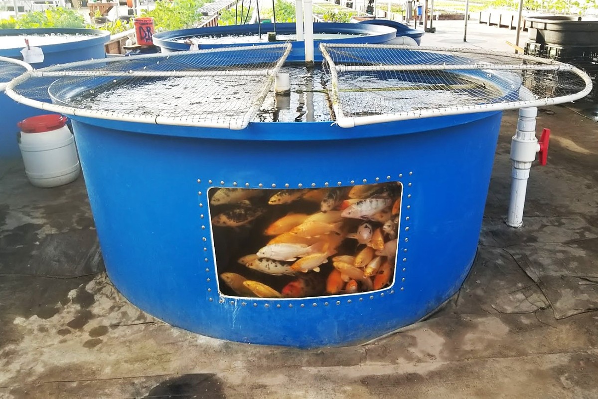 成都丰润水产养殖公司