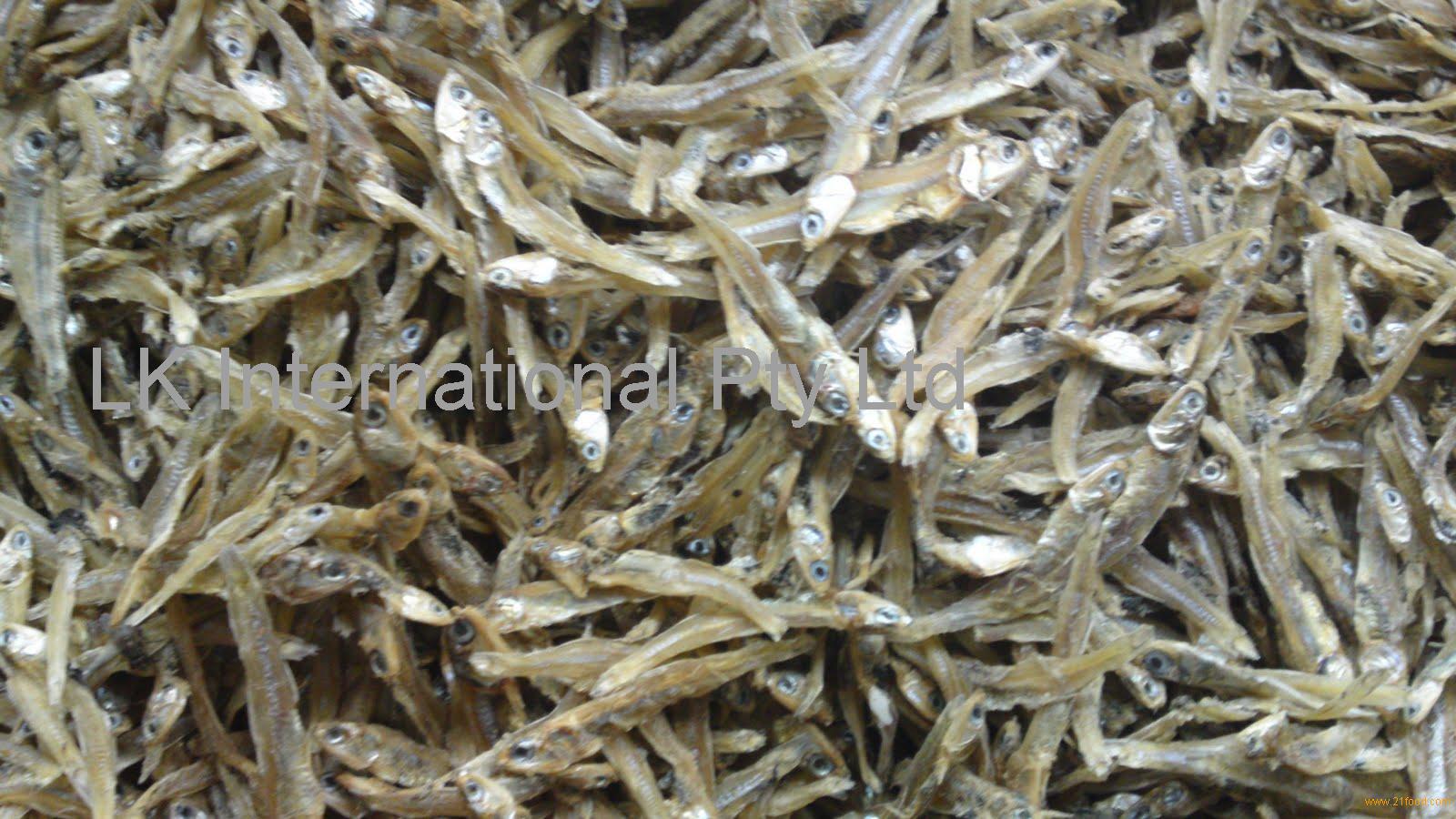 生产水产饲料的原料