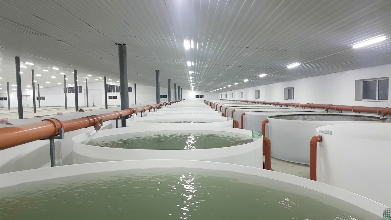 水产养殖用药减量行动总结