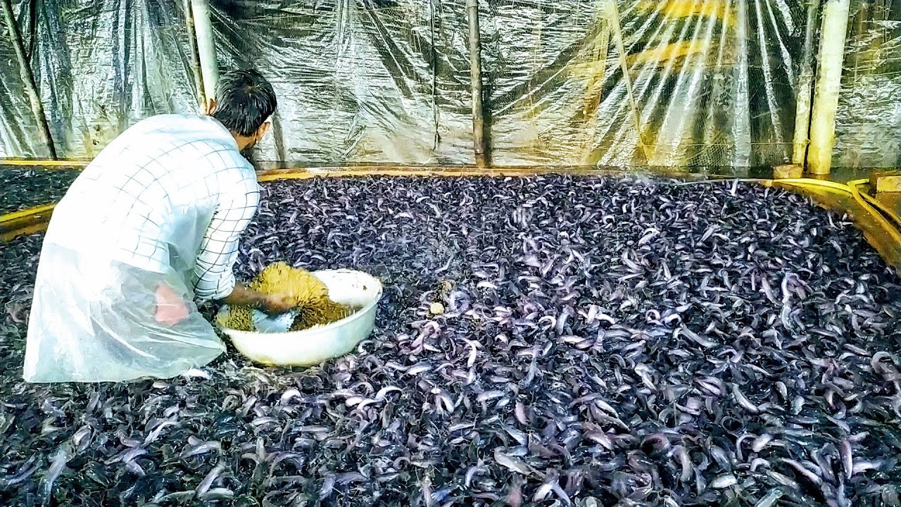 山西渔药厂家排行榜前十名