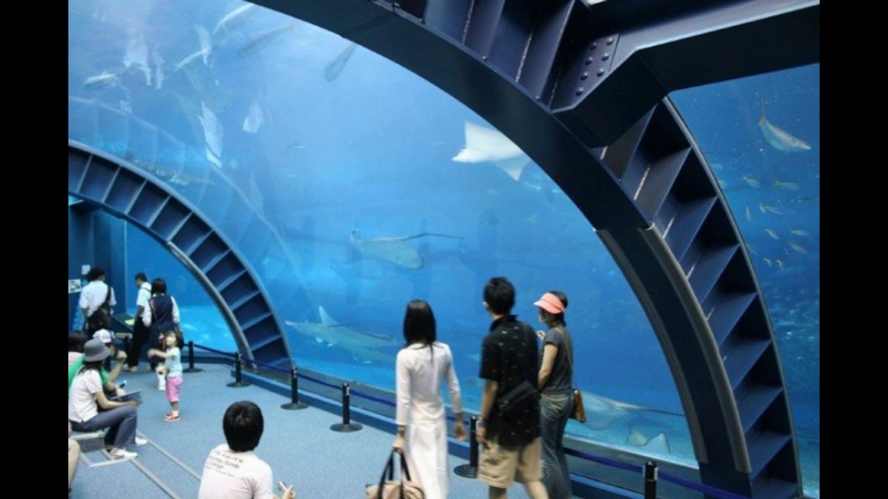 浙江省水产渔药批发商