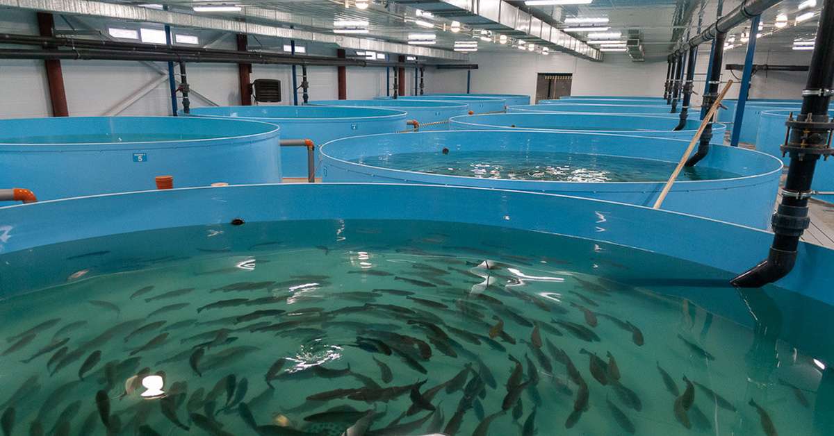 水产养殖公司名录