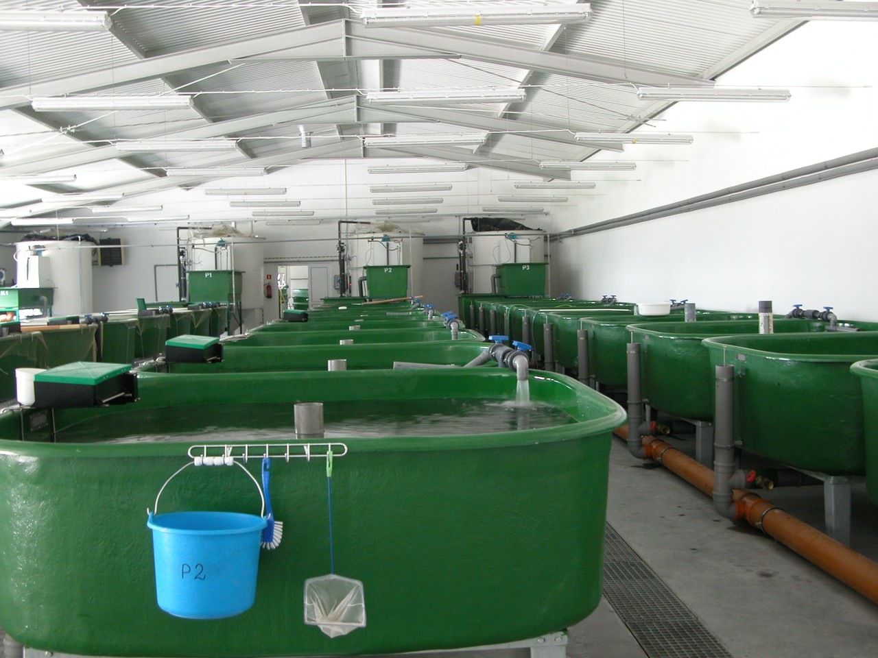水产药品厂家排名榜最新