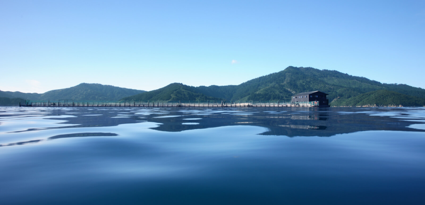 农影智造水产养殖