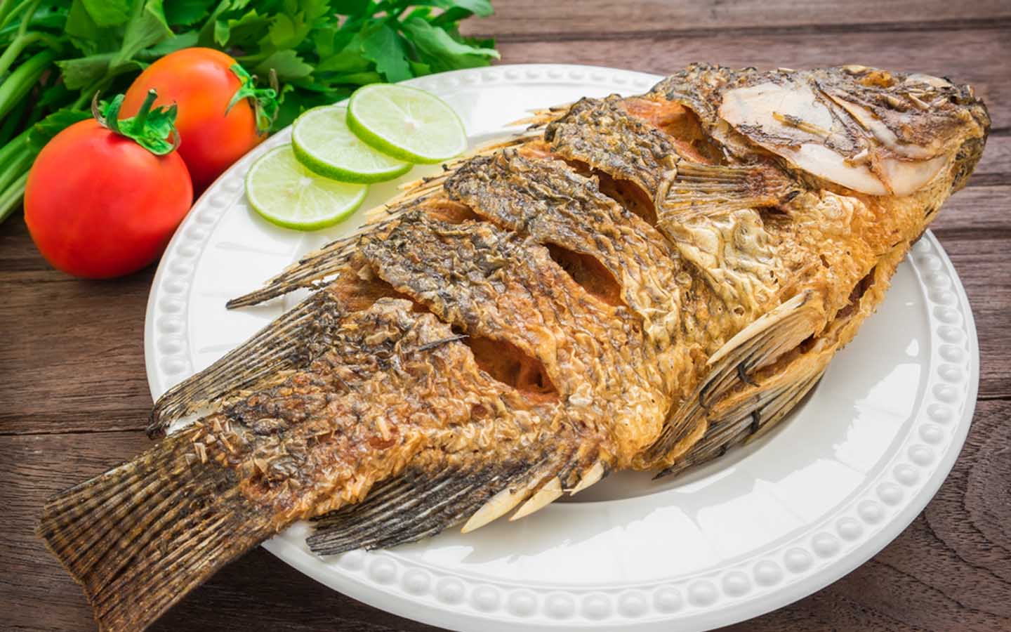 水产用药最佳时节是什么