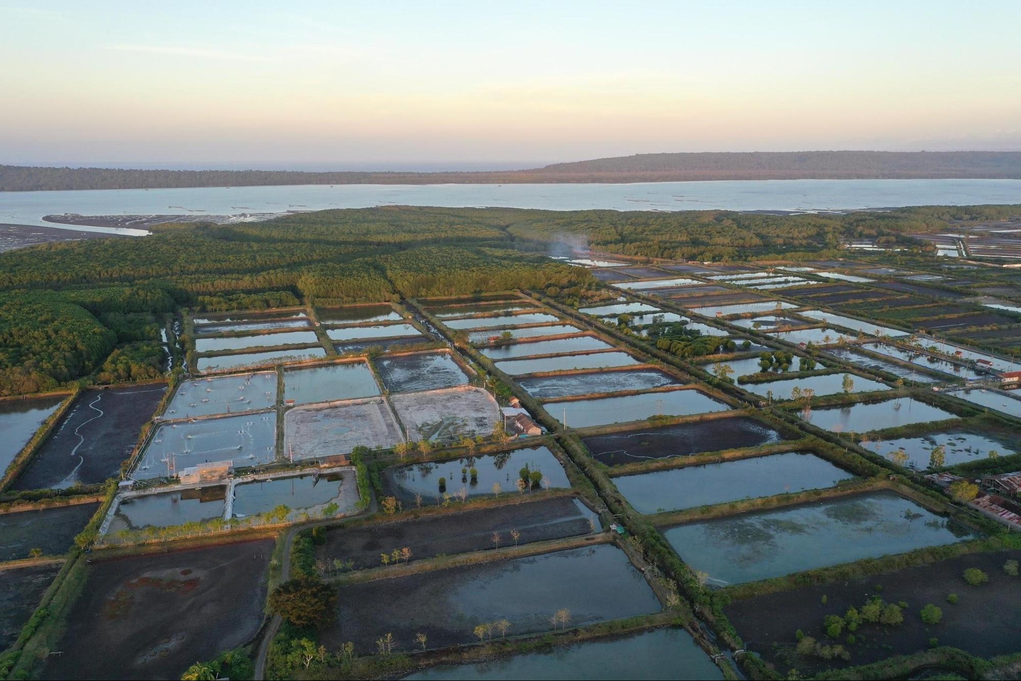 渔药原料按化学组成可分为