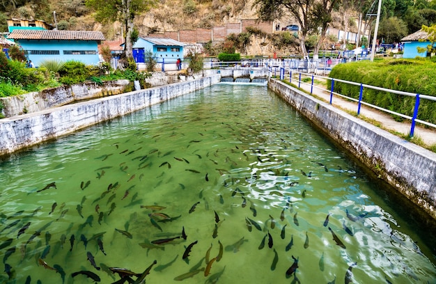 水产养殖增氧曝气